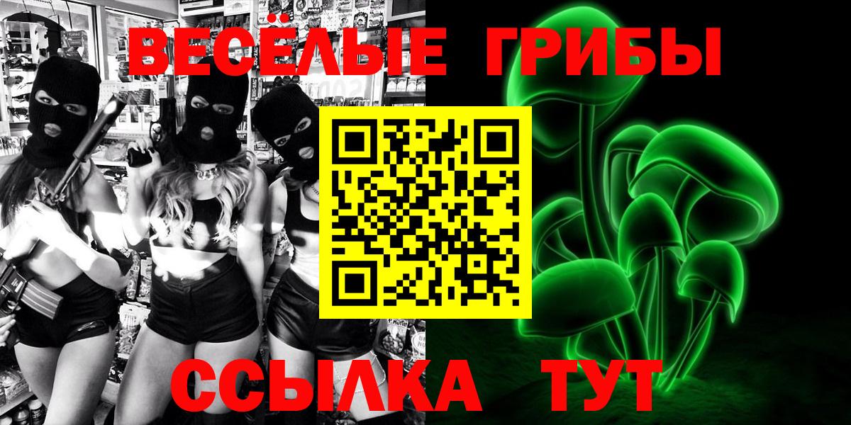 Галлюциногенные грибы Psilocybe  Псилоцибиновые грибы прущие грибы  Вход с VPN  Махачкала 