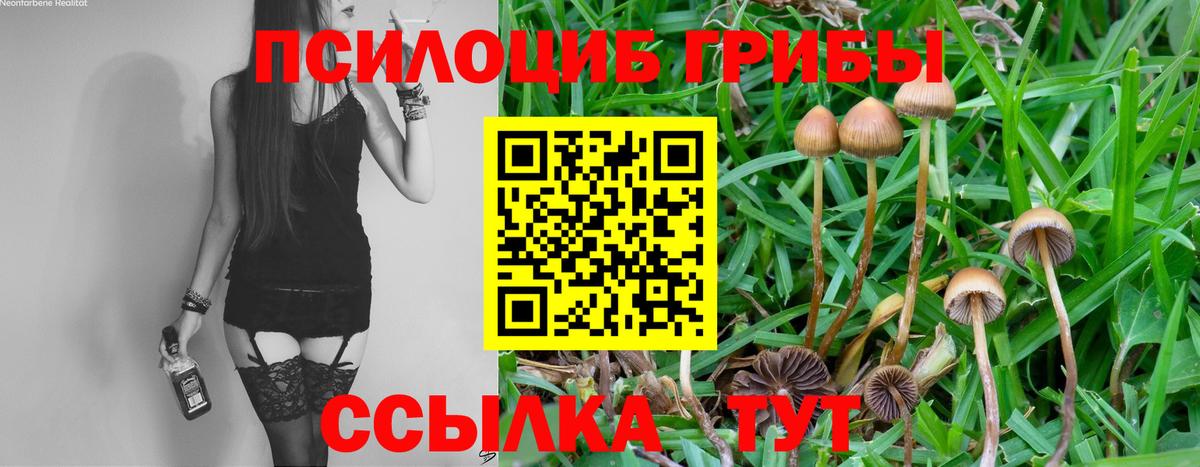 Галлюциногенные грибы ЛСД Махачкала