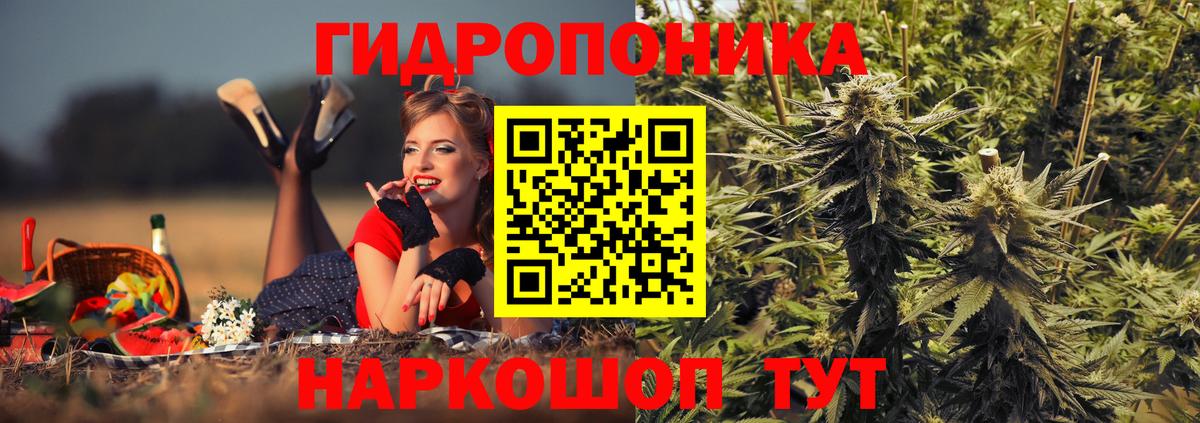 Конопля Bruce Banner Махачкала